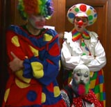 Клоуны с Беверли Лэйн / Beverly Lane Clowns